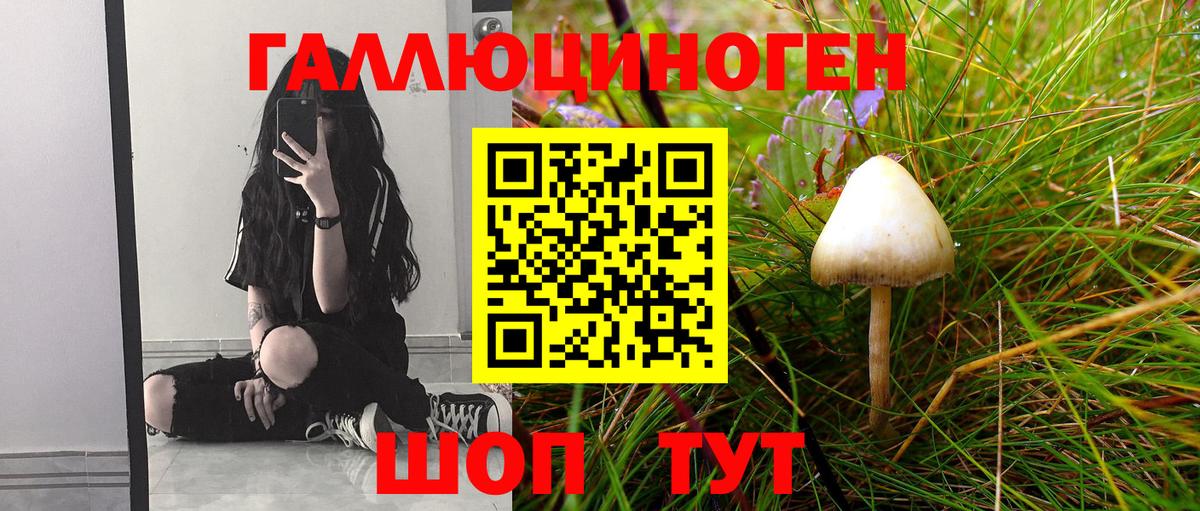Псилоцибиновые грибы Psilocybine cubensis  Вход с VPN  Галлюциногенные грибы MAGIC MUSHROOMS  Ипатово 