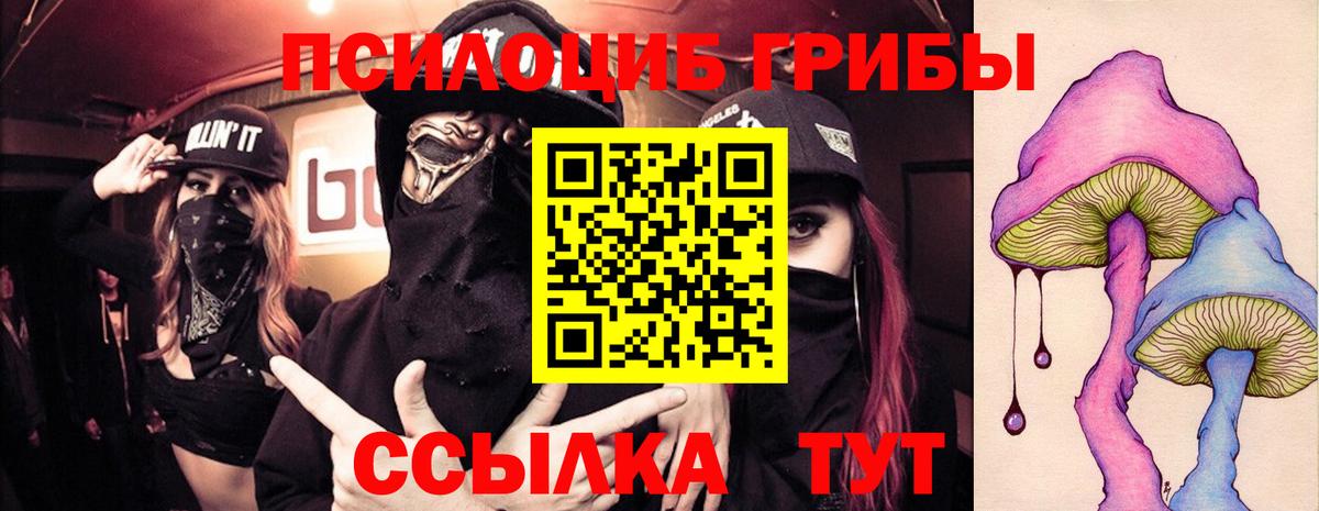 Псилоцибиновые грибы мицелий Ипатово